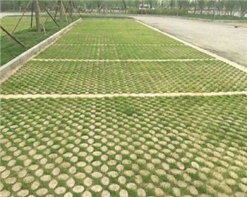 成都植草世俱杯网页版