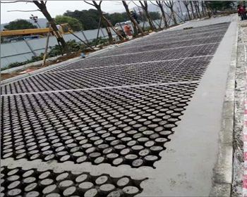 四川植草世俱杯网页版