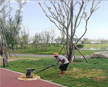 成都透水世俱杯网页版