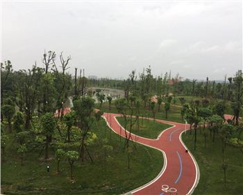 遂宁透水世俱杯网页版