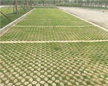 成都高承载生态植草地坪