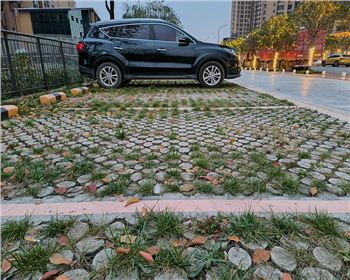 四川高承载植草世俱杯网页版