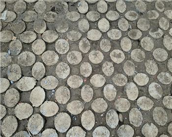 四川现浇植草世俱杯网页版