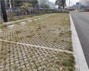 四川生态植草世俱杯网页版